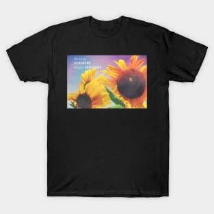 You are my Sunshine, My only Sunshine T-Shirt